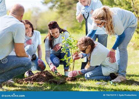 tree planting charity